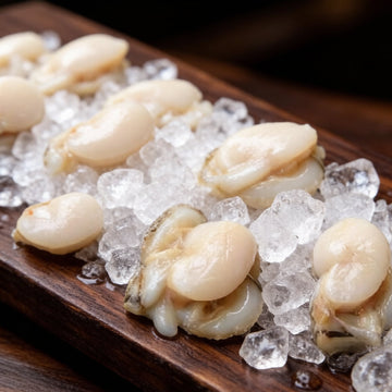 Razor Clam