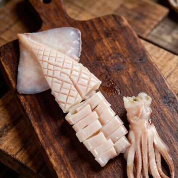 Squid