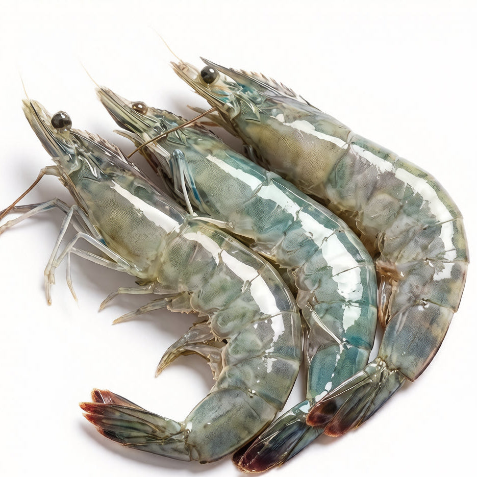Black Tiger Prawns